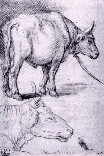 Collections of Drawings antique (2213).jpg